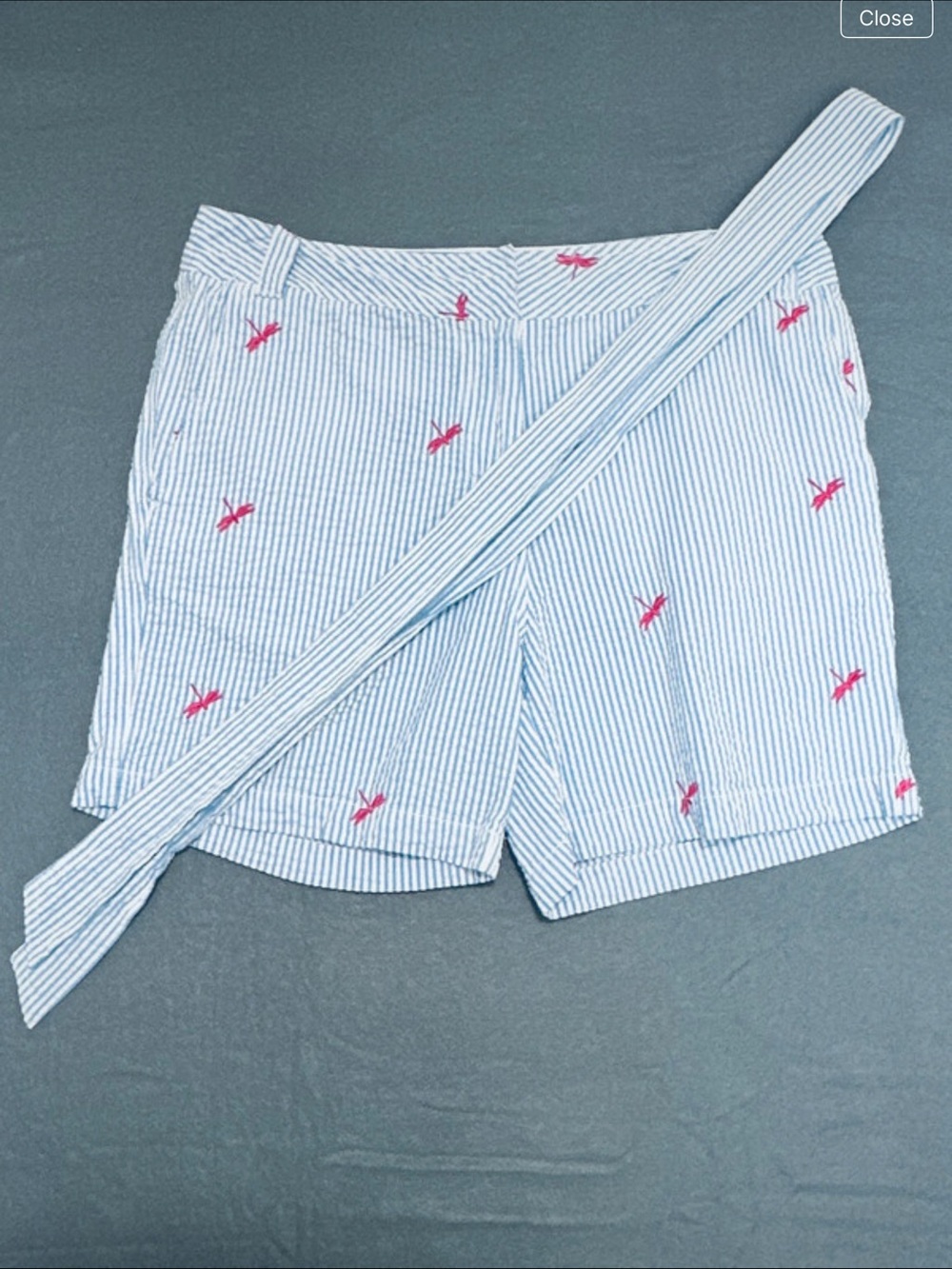 Blue and White Striped Seersucker Shorts with Pink Dragonfly Embroidery - Picture 2 of 5